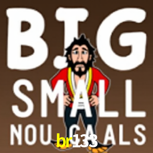 br133.com